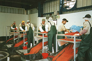 Red Caviar