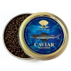 Premium Quality Sturgeon Caviar - Kaluga Hybrid 100 g (3.5 oz.) tin
